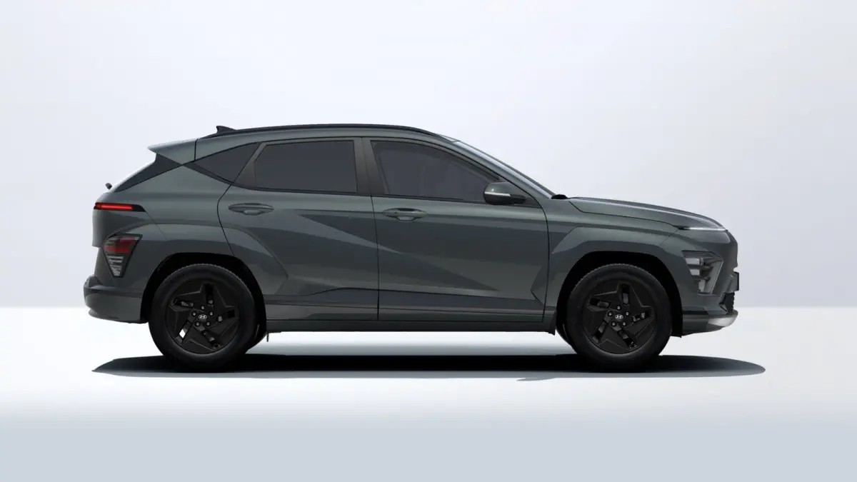 Standard Range Pure Edition 48.6 kWh | €1500,- korting !! | Vanaf 419,- Private Lease p/m !