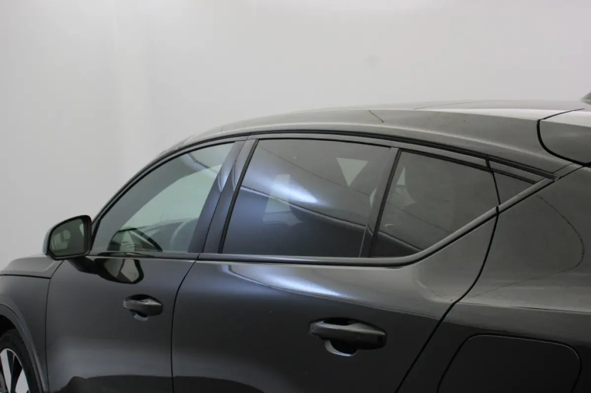 Recharge Twin 78 kWh - Panorama, Carplay, 360 Camera, Half Leer, Memory, SOH 89,2%