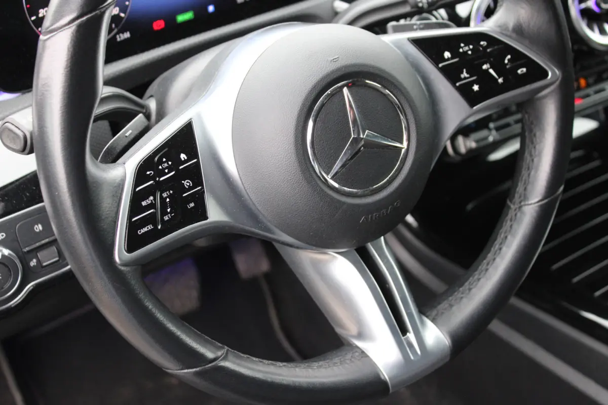 250e AUT8 Luxury Line (FACELIFT) LEDER SFEER NAVI TREKHAAK