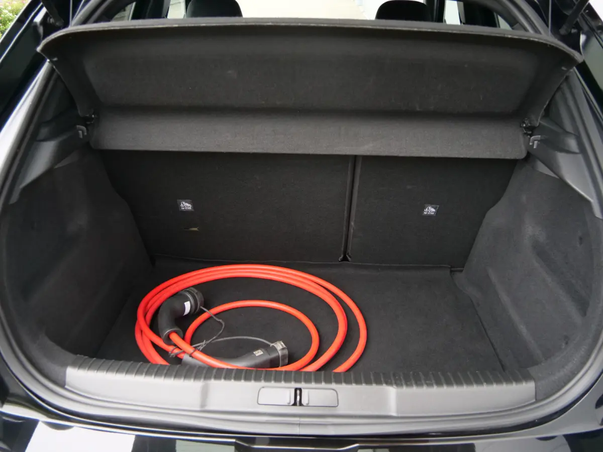 GS 54 kWh 157Pk Apple Carplay / Camera / DAB /SOH 98%