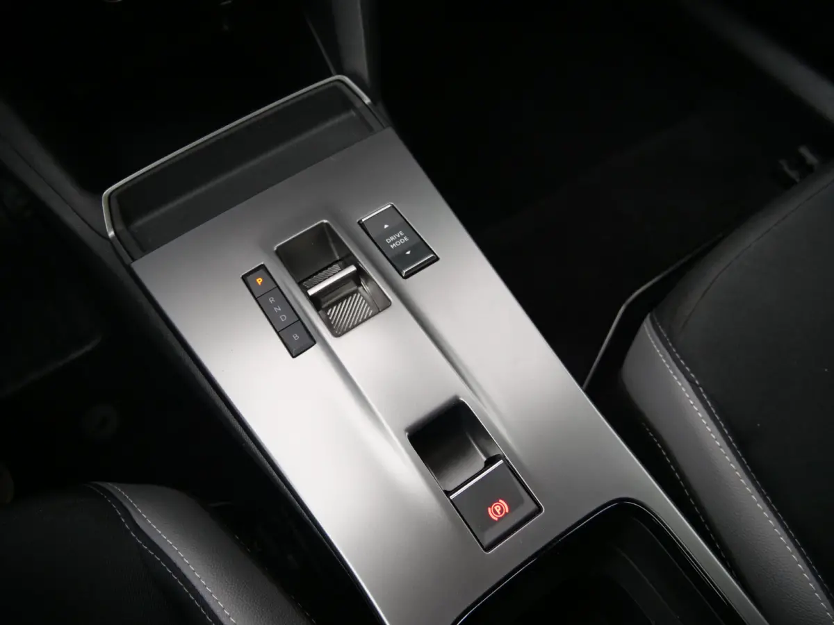 GS 54 kWh 157Pk Apple Carplay / Camera / DAB /SOH 98%