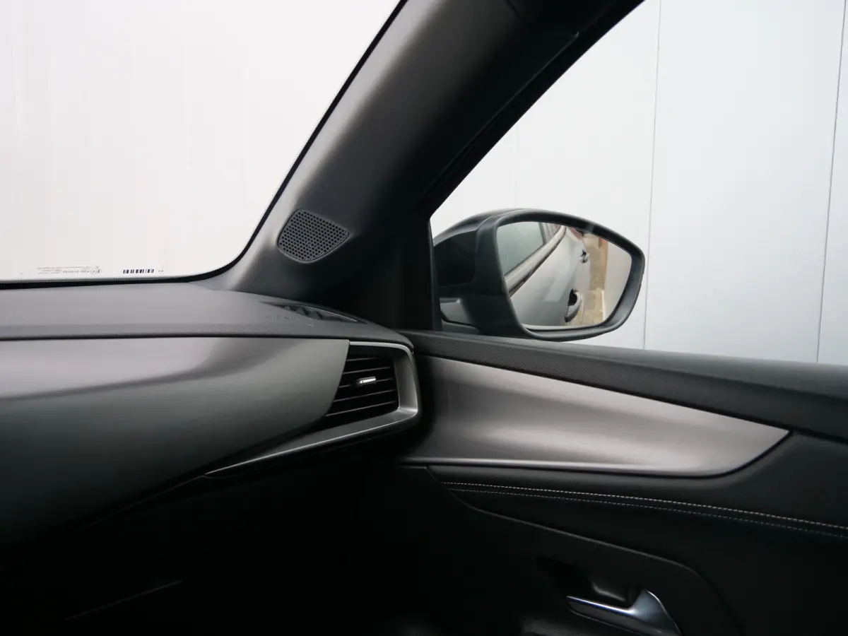 GS 54 kWh 157Pk Apple Carplay / Camera / DAB /SOH 98%