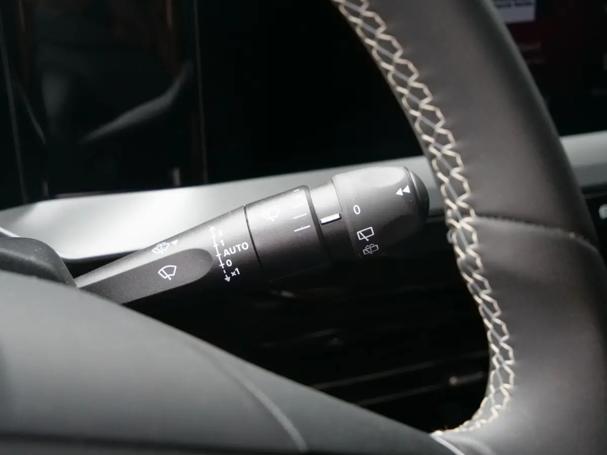 GS 54 kWh 157Pk Apple Carplay / Camera / DAB /SOH 98%