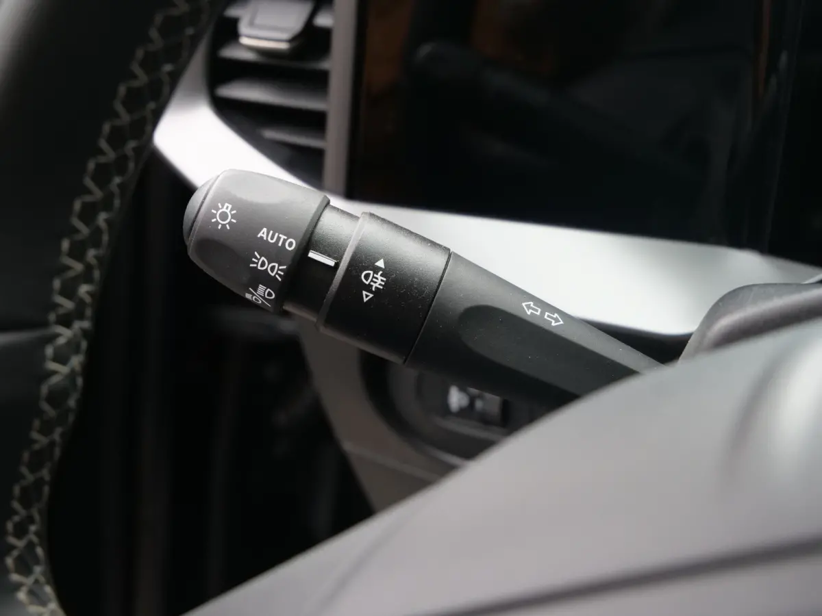 GS 54 kWh 157Pk Apple Carplay / Camera / DAB /SOH 98%