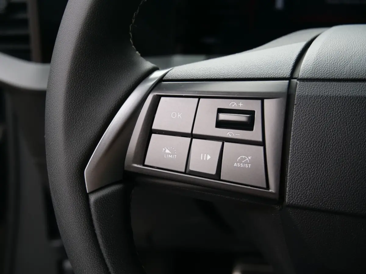 GS 54 kWh 157Pk Apple Carplay / Camera / DAB /SOH 98%