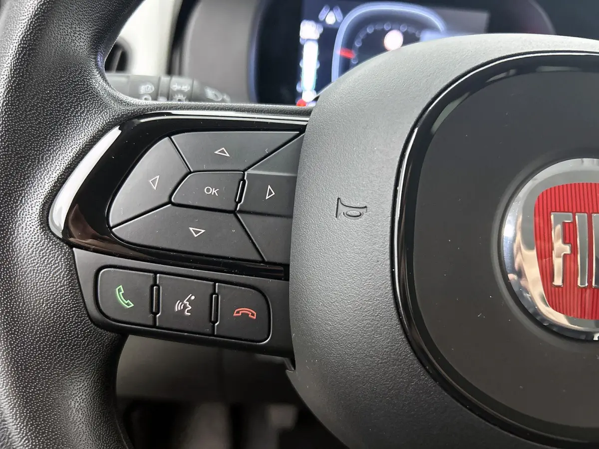 1.0 Hybrid 70pk Pandina | Apple CarPlay & Android Auto | Airco | Cruise control