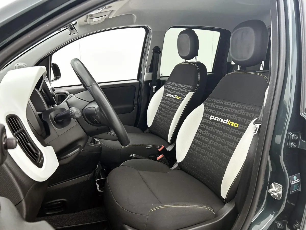 1.0 Hybrid 70pk Pandina | Apple CarPlay & Android Auto | Airco | Cruise control