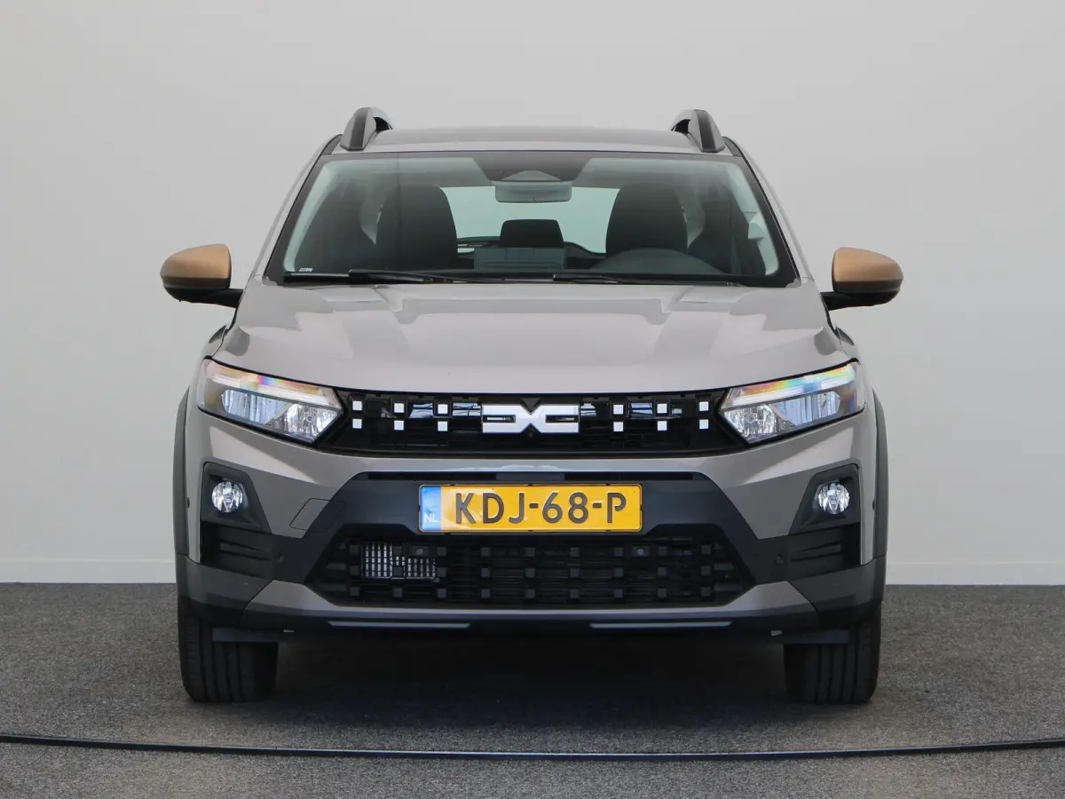 TCe 110pk limited edition | Camera's rondom | Climate control | Dodehoek sensor | Lichtmetalen velgen |