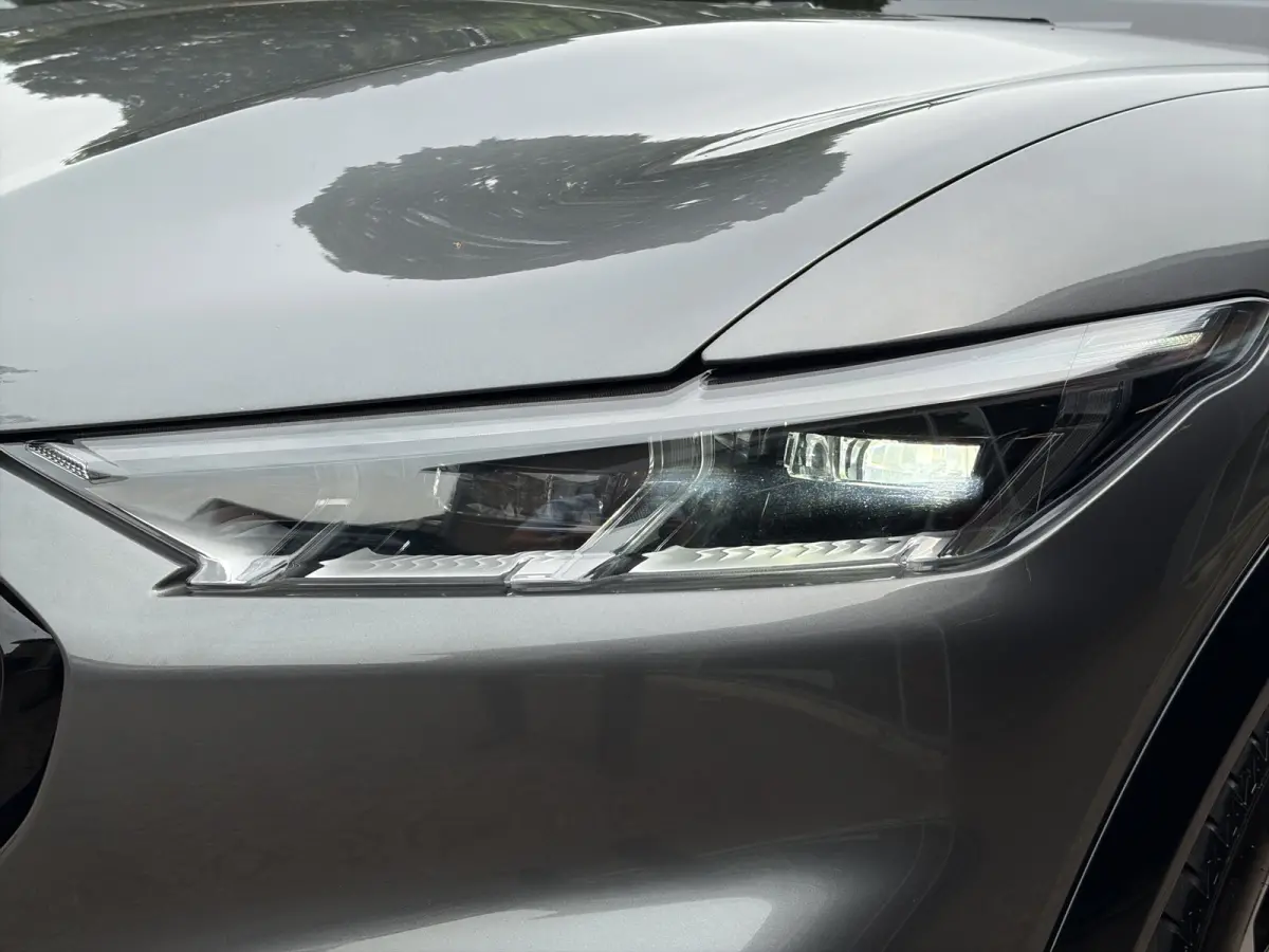 Premium 98KWh AWD 351pk | Panoramadak | Technology Pack+ | SOH 96,5