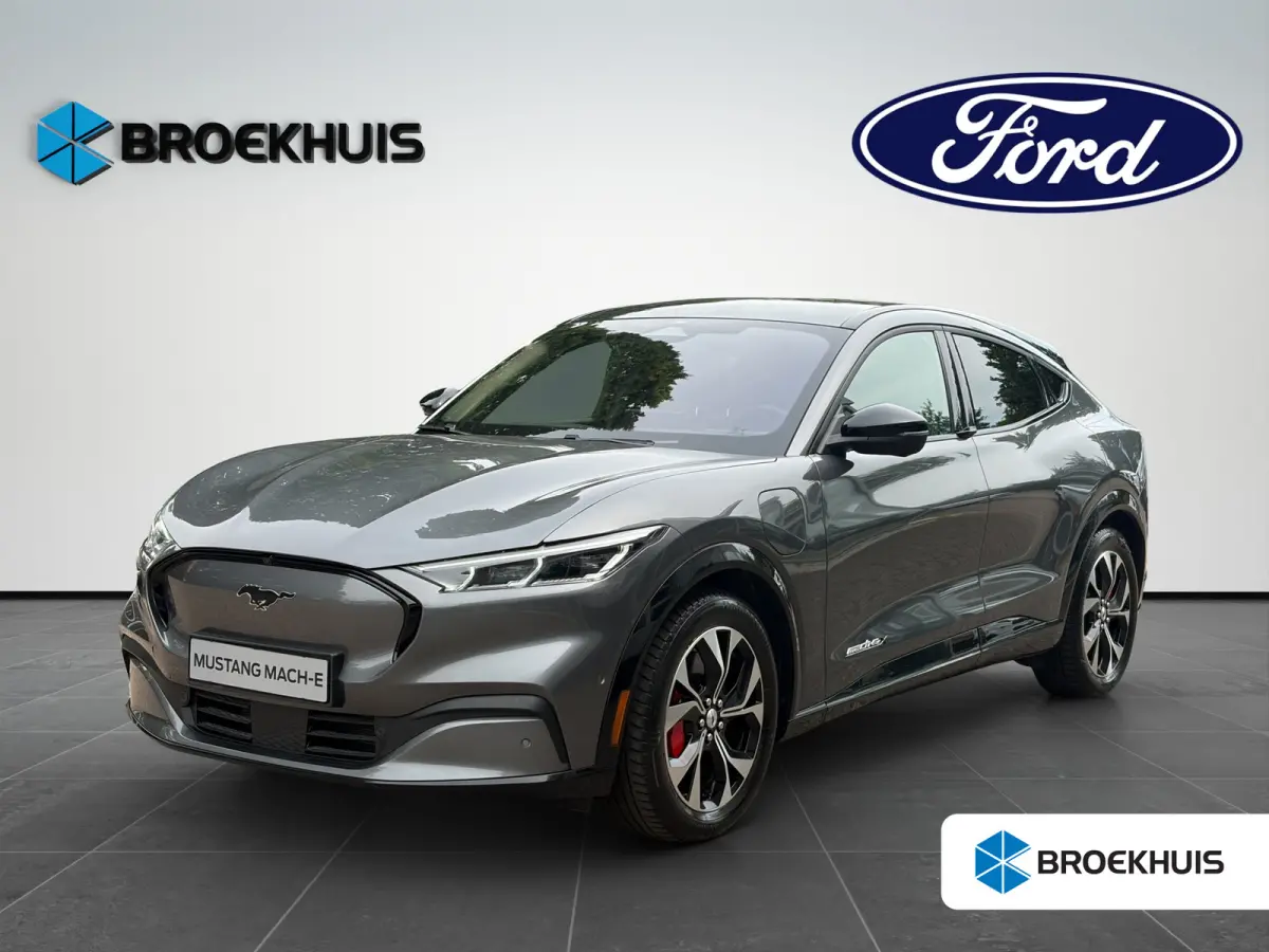 Premium 98KWh AWD 351pk | Panoramadak | Technology Pack+ | SOH 96,5