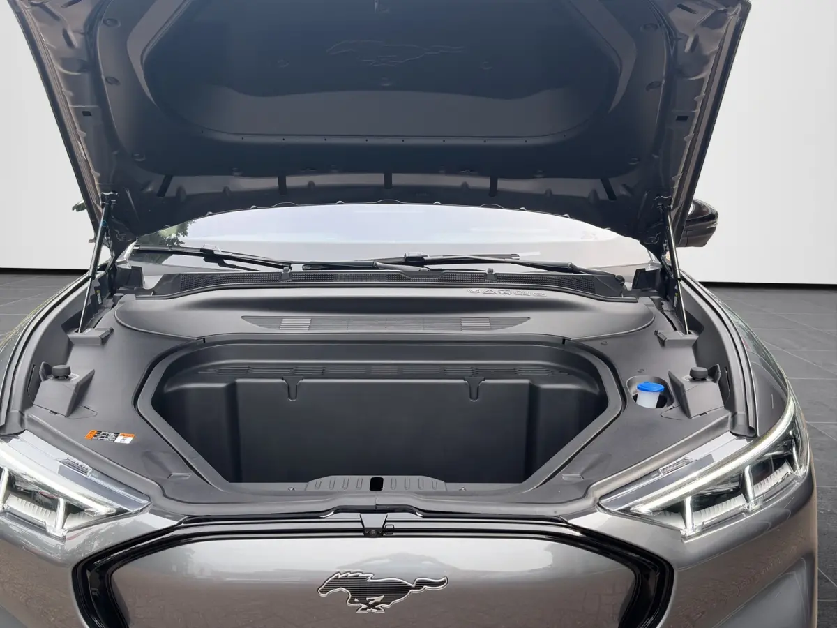 Premium 98KWh AWD 351pk | Panoramadak | Technology Pack+ | SOH 96,5