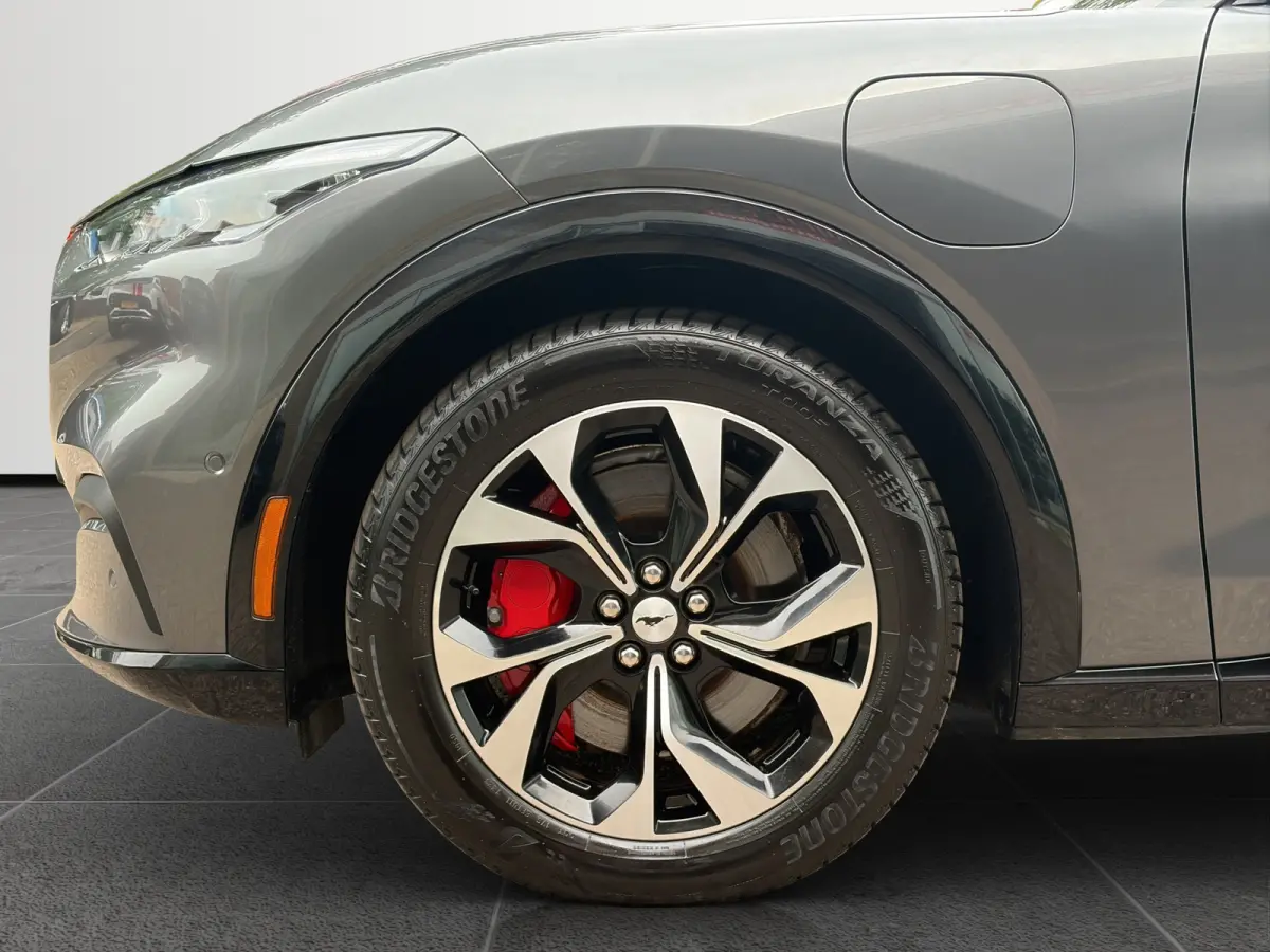 Premium 98KWh AWD 351pk | Panoramadak | Technology Pack+ | SOH 96,5