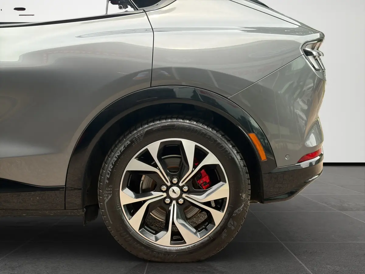 Premium 98KWh AWD 351pk | Panoramadak | Technology Pack+ | SOH 96,5