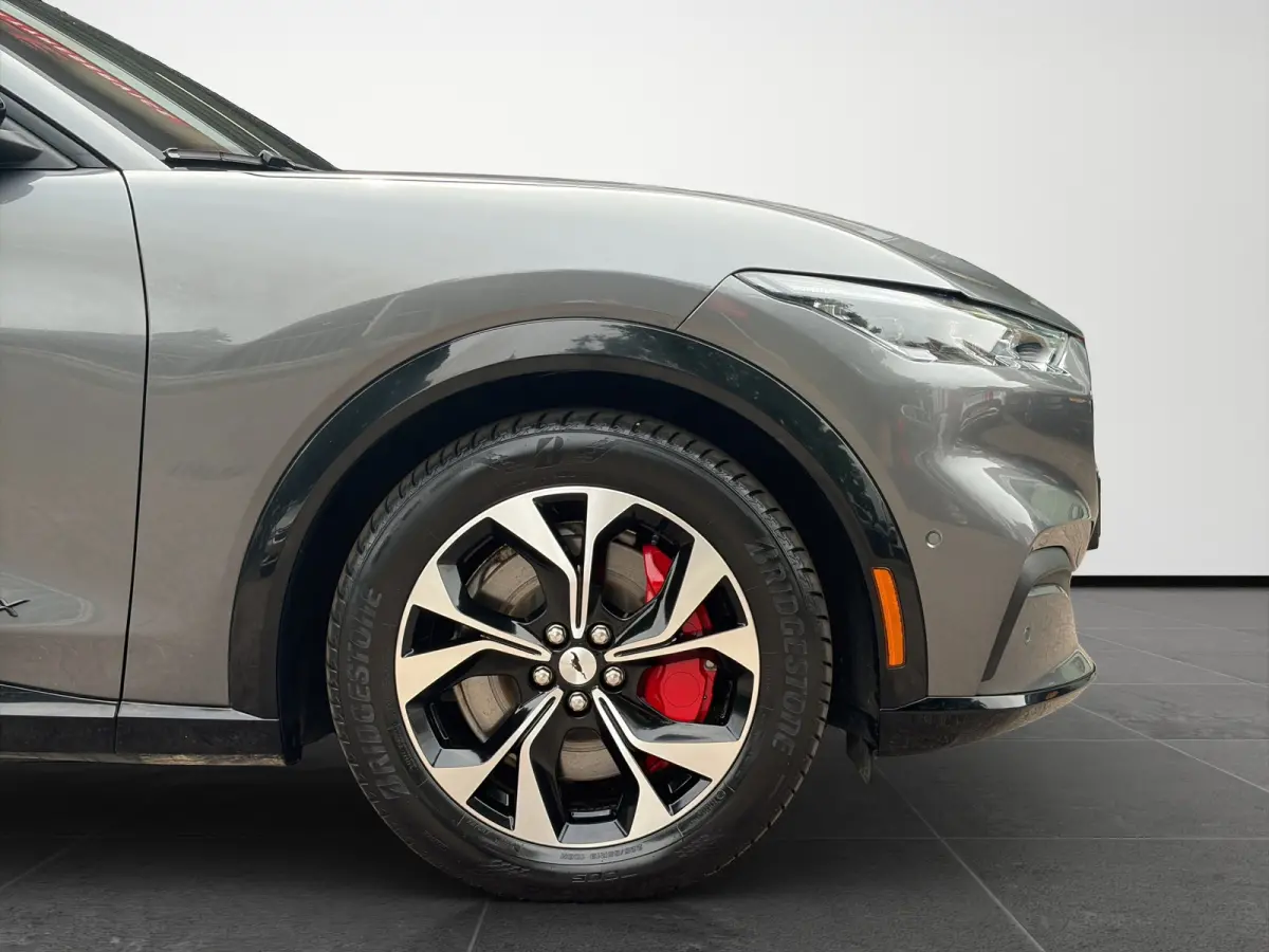 Premium 98KWh AWD 351pk | Panoramadak | Technology Pack+ | SOH 96,5