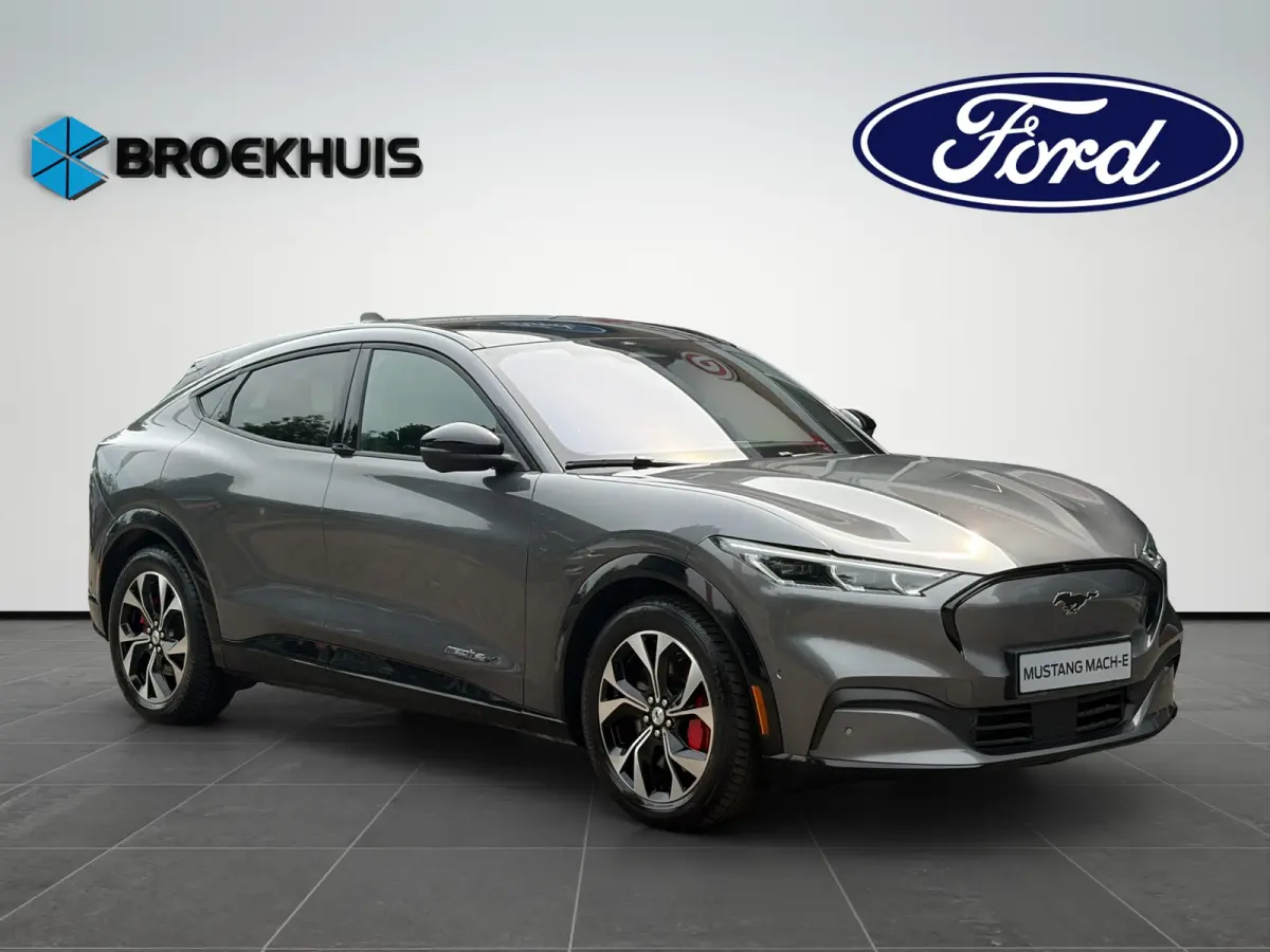Premium 98KWh AWD 351pk | Panoramadak | Technology Pack+ | SOH 96,5
