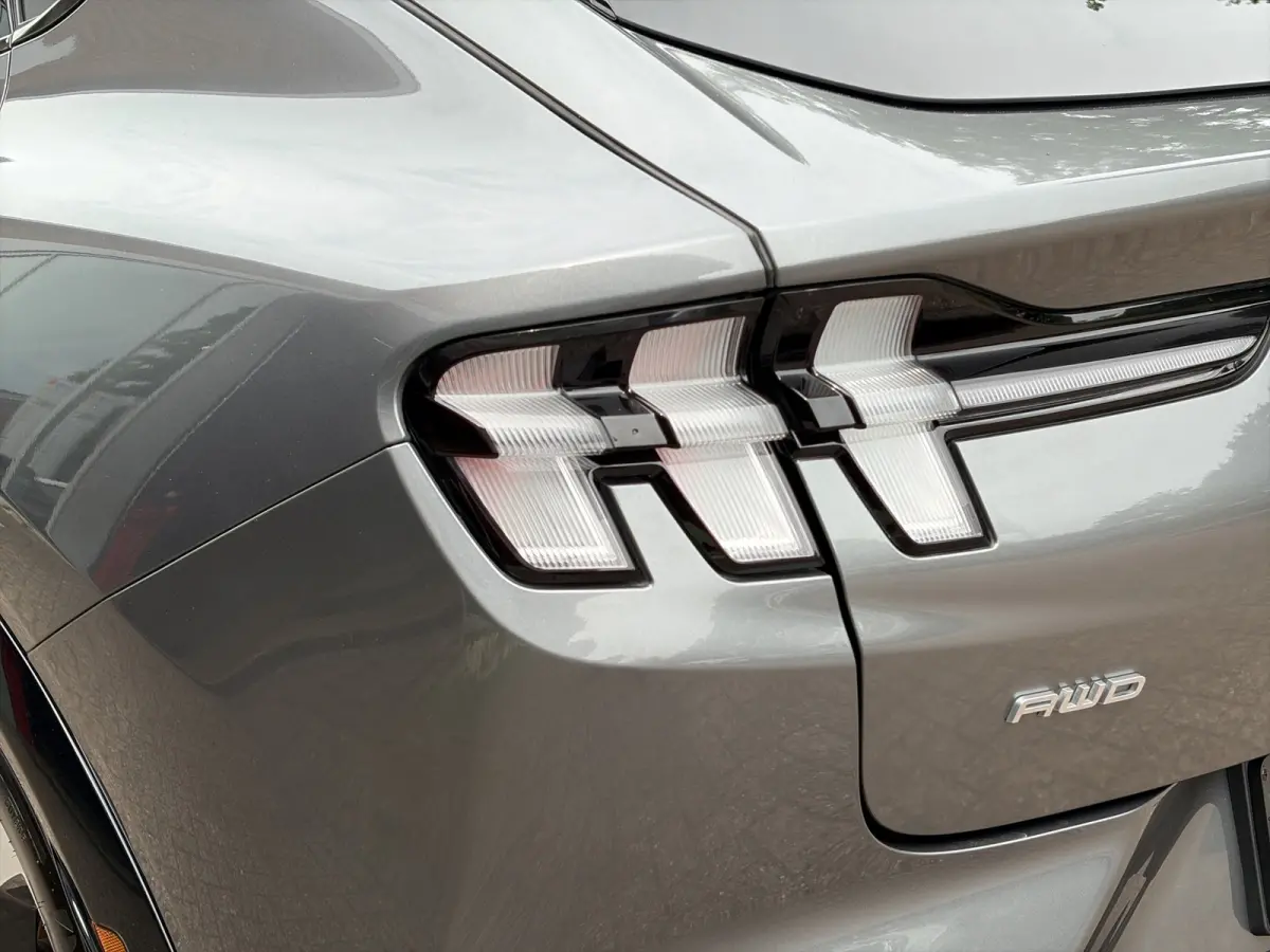 Premium 98KWh AWD 351pk | Panoramadak | Technology Pack+ | SOH 96,5