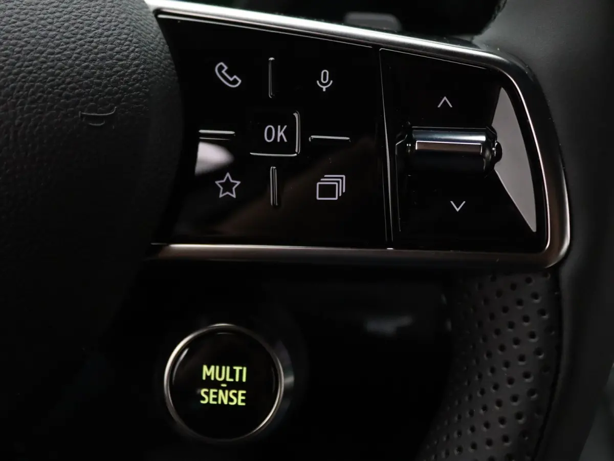 220pk long range iconic Automaat Harman Kardon | Camera | Adapt. Cruise | Parkeersens. v+a | Stoel-/stuurverw.