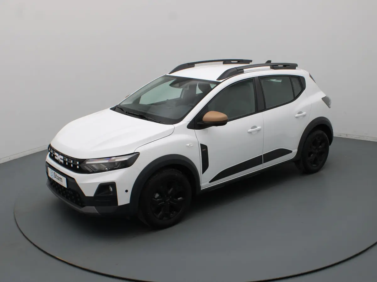 TCe 110pk limited edition Camera | Cruise | Navi | Parkeersens. v+a