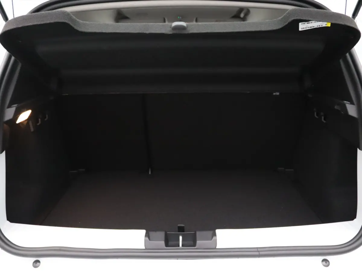 TCe 110pk limited edition Camera | Cruise | Navi | Parkeersens. v+a