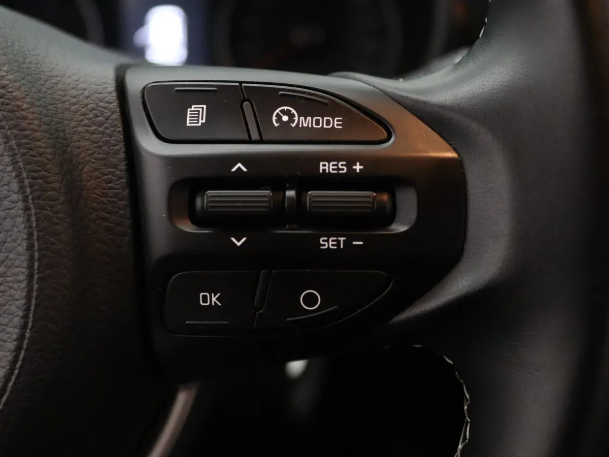 1.0 DPi DynamicLine Achteruitrijcamera | Apple Carplay/Android Auto
