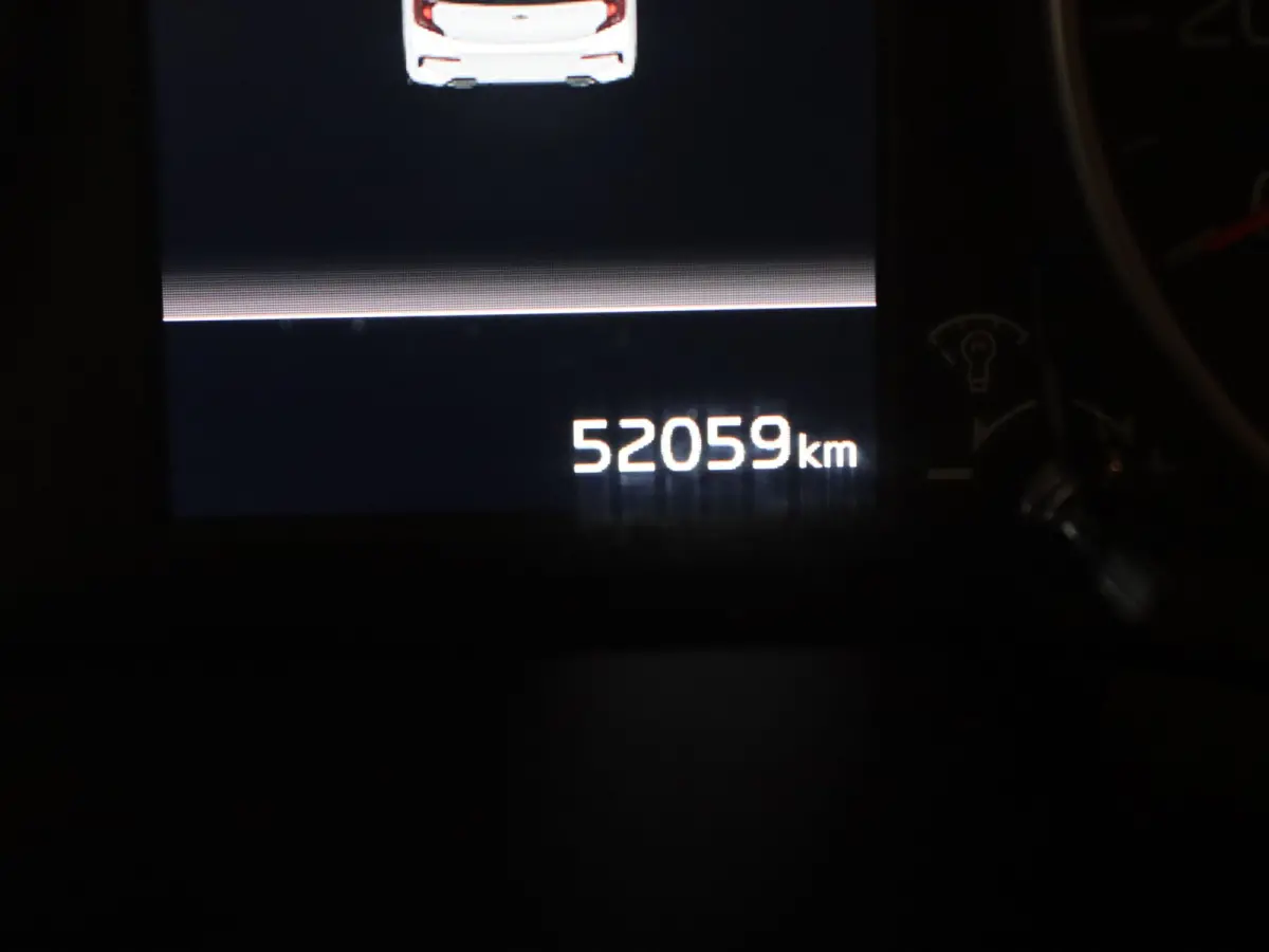 1.0 DPi DynamicLine Achteruitrijcamera | Apple Carplay/Android Auto