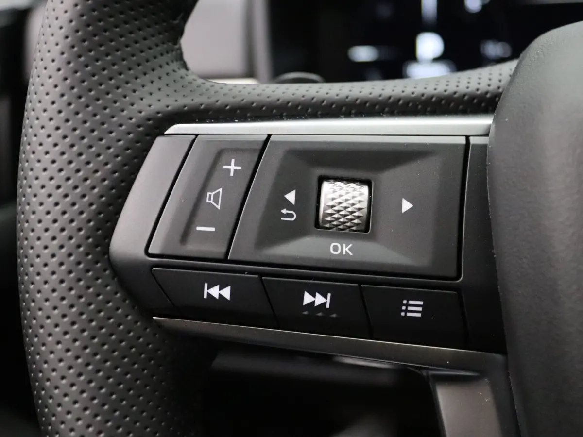 306pk PHEV Instyle Lederen bekleding | Navig | Rondomzicht Camera