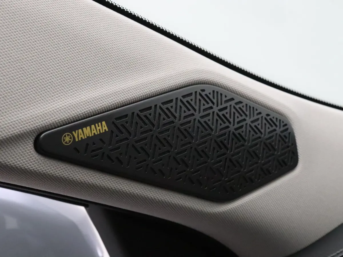 306pk PHEV Instyle Lederen bekleding | Navig | Rondomzicht Camera