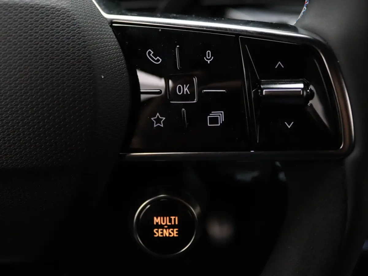 Hybrid esprit Alpine 160pk Harman Kardon | 360° Camera | Adapt. Cruise | Stoel-/stuurverw.