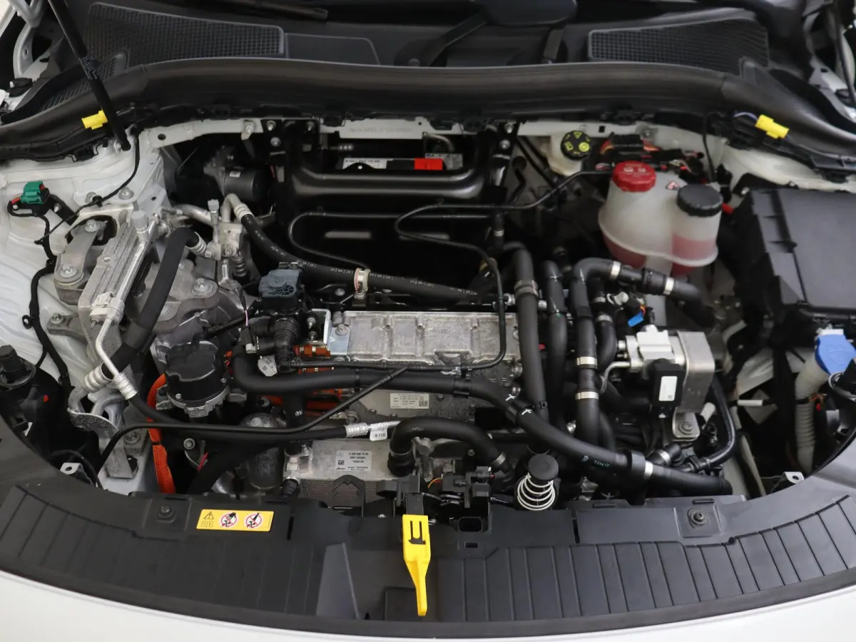 250 Business Solution AMG 67 kWh