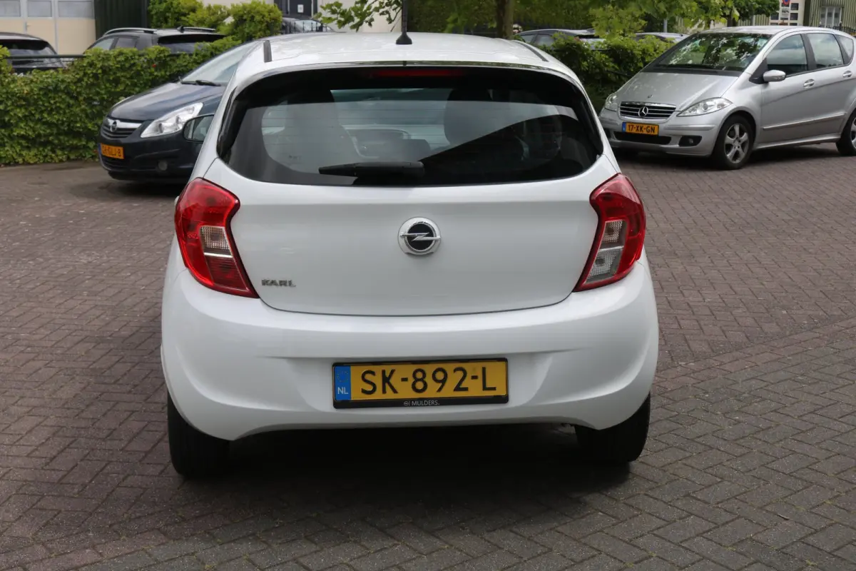 1.0 ecoFLEX Edition