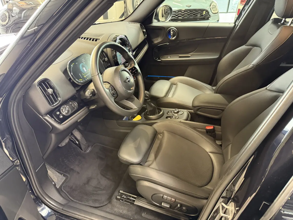 2.0 Cooper SE ALL4 Leder/Apple/Camera