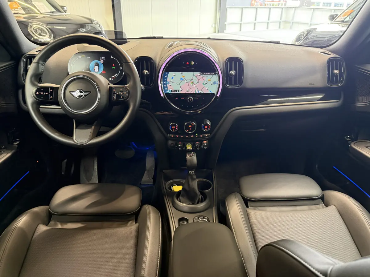 2.0 Cooper SE ALL4 Leder/Apple/Camera