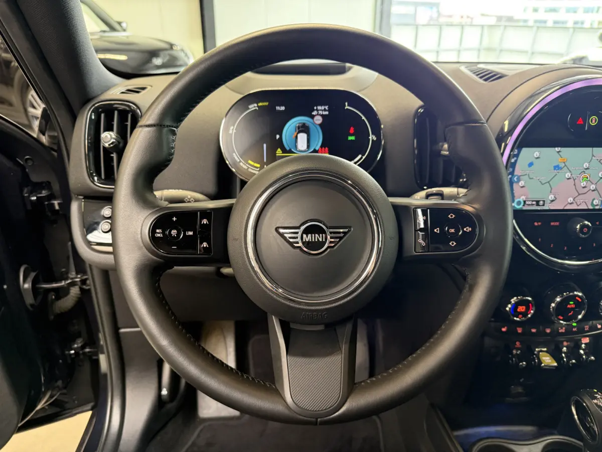 2.0 Cooper SE ALL4 Leder/Apple/Camera