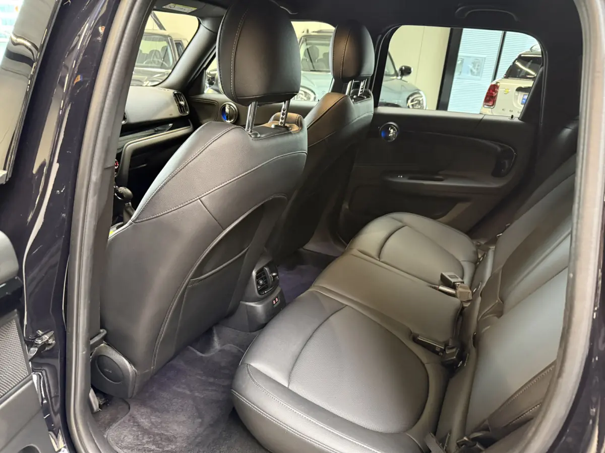 2.0 Cooper SE ALL4 Leder/Apple/Camera