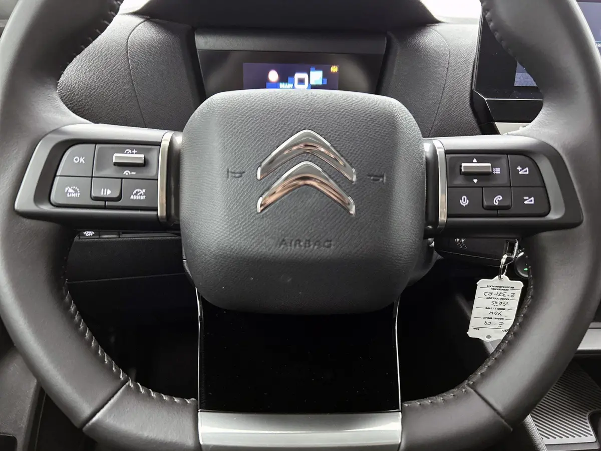 You 136pk 50 kWh Automaat |  ACCU 99% | Apple Carplay/Android Auto | Camera | Climate Control | Cruise Control |