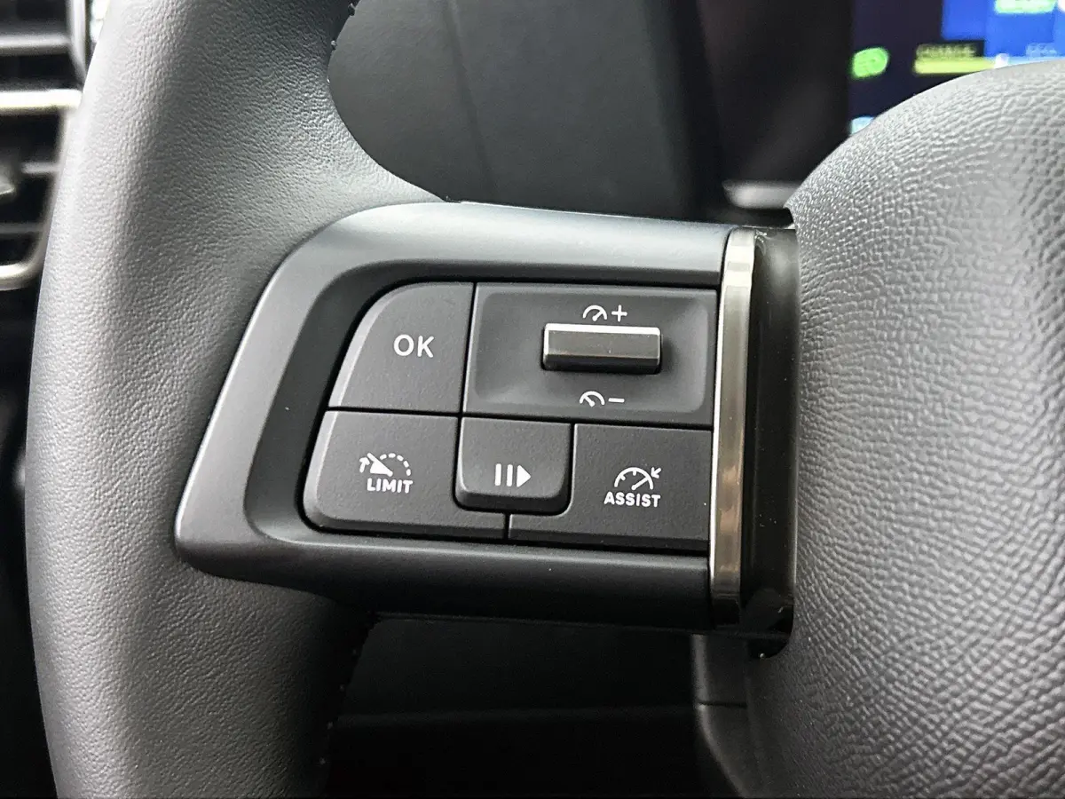 You 136pk 50 kWh Automaat |  ACCU 99% | Apple Carplay/Android Auto | Camera | Climate Control | Cruise Control |