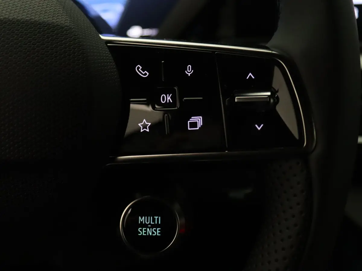 comfort range Roland-Garros 52 kWh Harman Kardon | Camera | Adapt. Cruise | Stoel-/stuurverw.