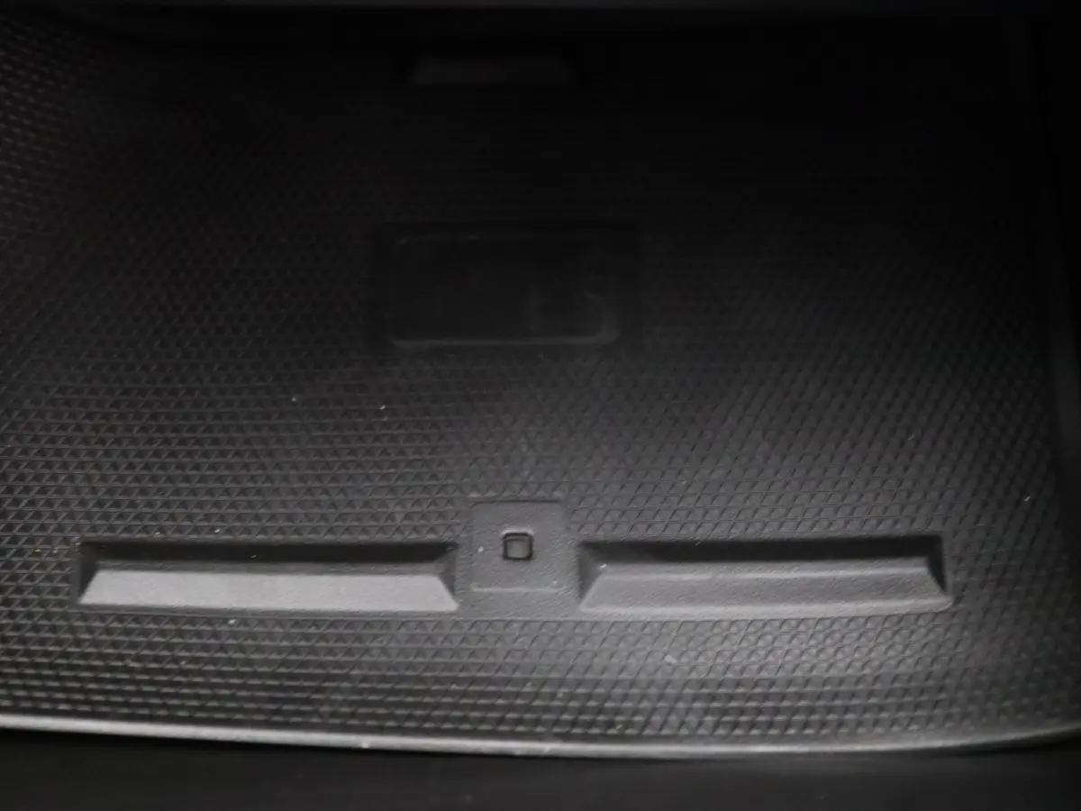 Esprit Alpine E-Tech Full Hybrid 145pk 360° Camera | Adapt. cruise | Bose | Navi | Stoel-/stuurverwarming