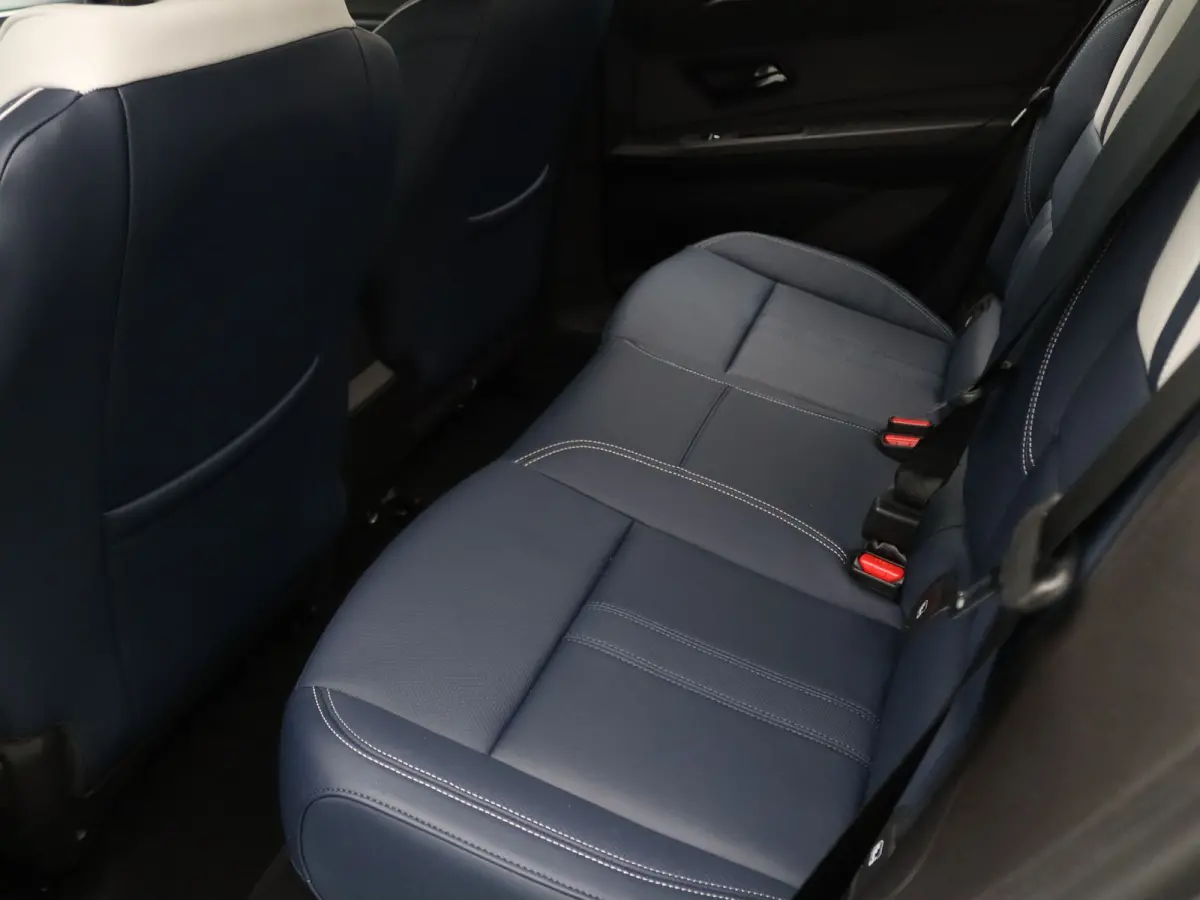 GT Premium 52 kWh Lichtmetalen Velgen 19" Snowflake Diamantee / Remklauwen rood Daklijst Hypersatin | Franse vlag op C-stijl