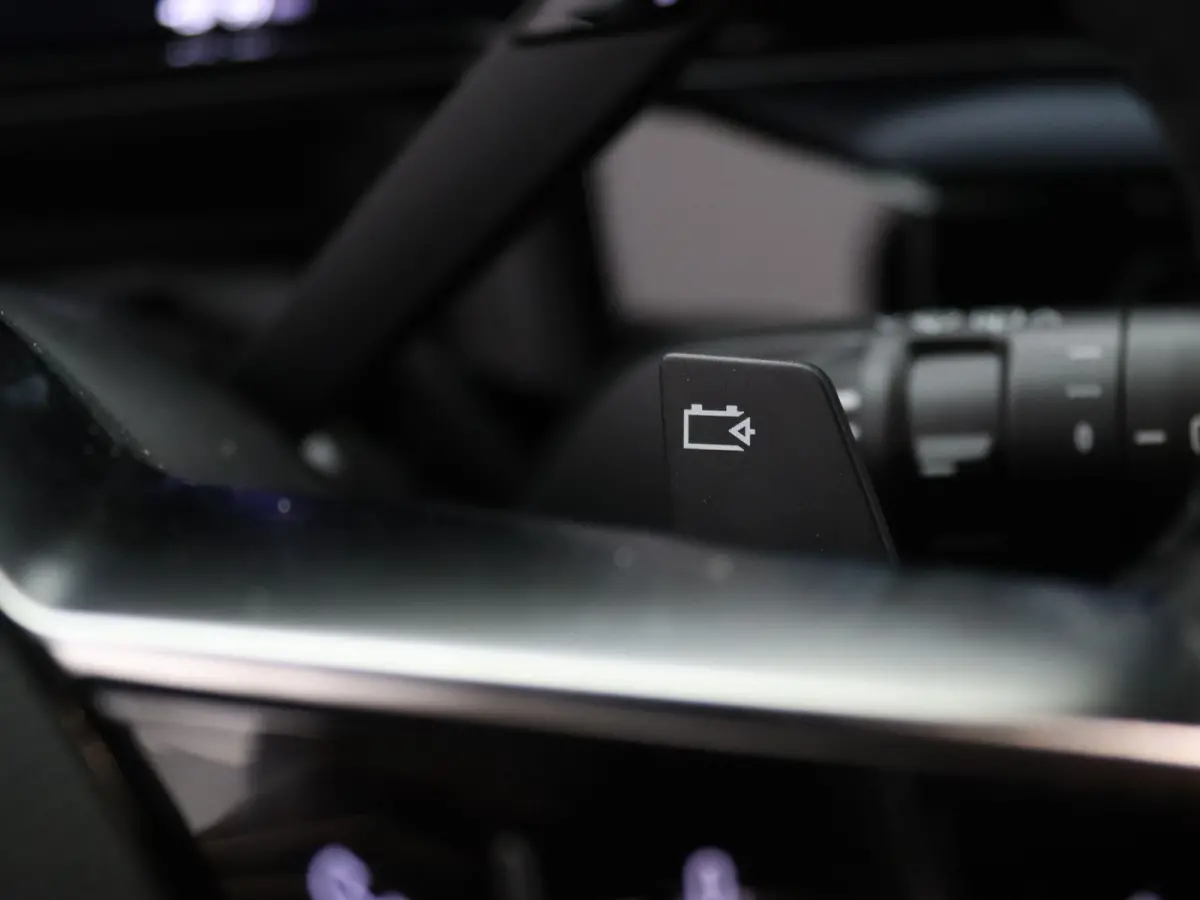 EVOLVE 52 kWh Automaat Camera | Adapt. Cruise | Stoel-/stuurverw.