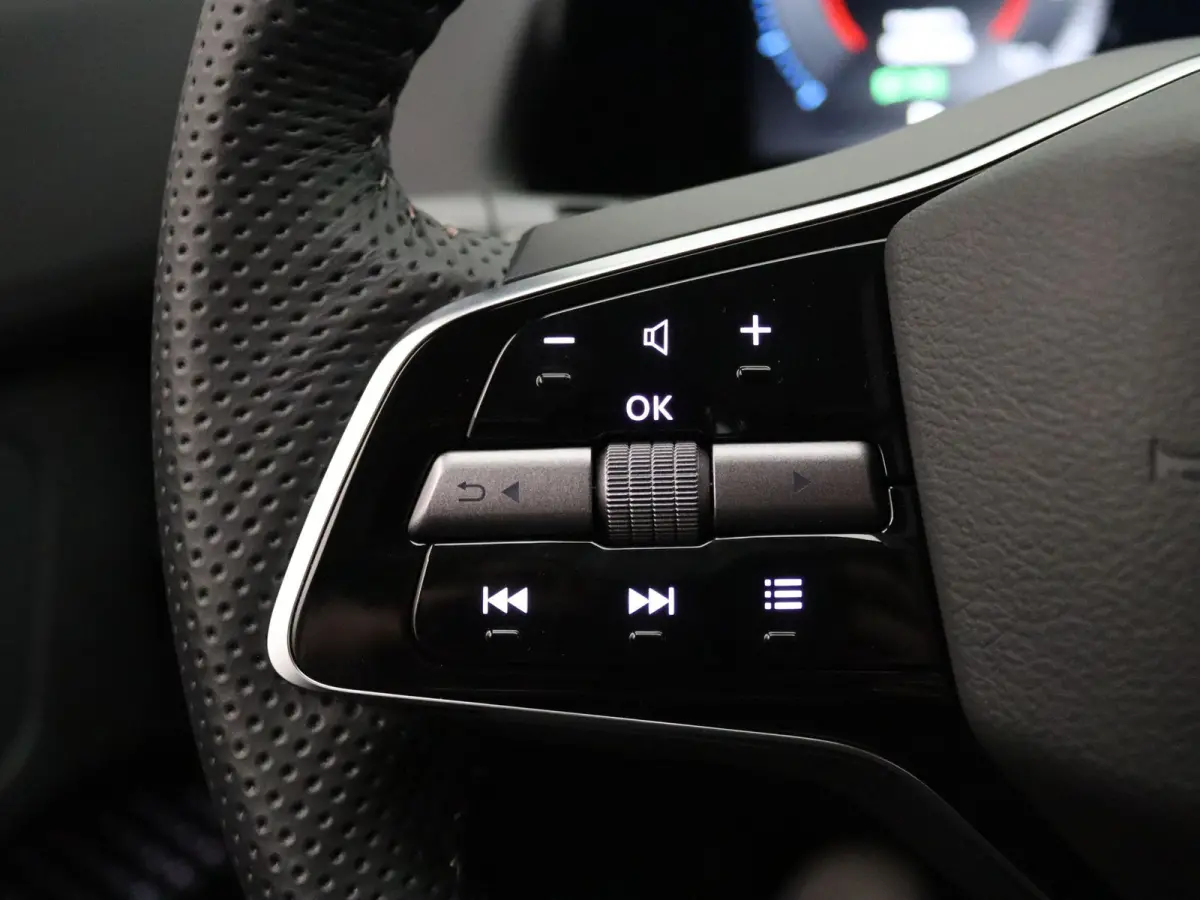 Advance 66 kWh Climate control | Navig | Rondomzicht camera