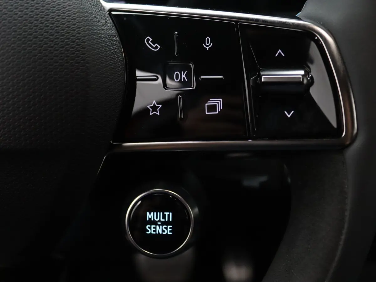 160pk Hybrid esprit Alpine Harman Kardon | 360° Camera | Adapt. Cruise | Stoel-/stuurverw.