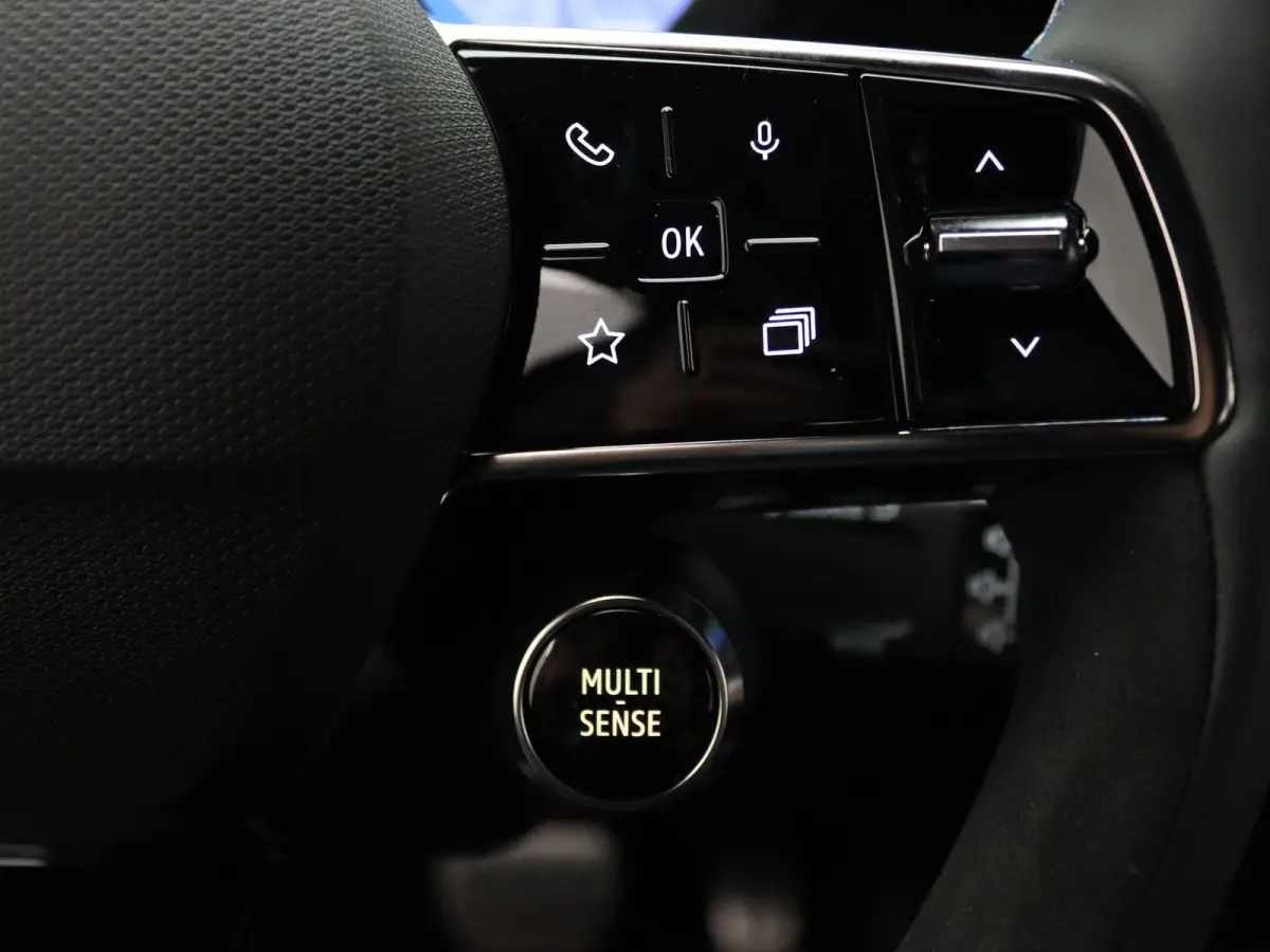 Hybrid esprit Alpine 160pk Harman Kardon | Camera | Adapt. Cruise | Parkeersens. v+a