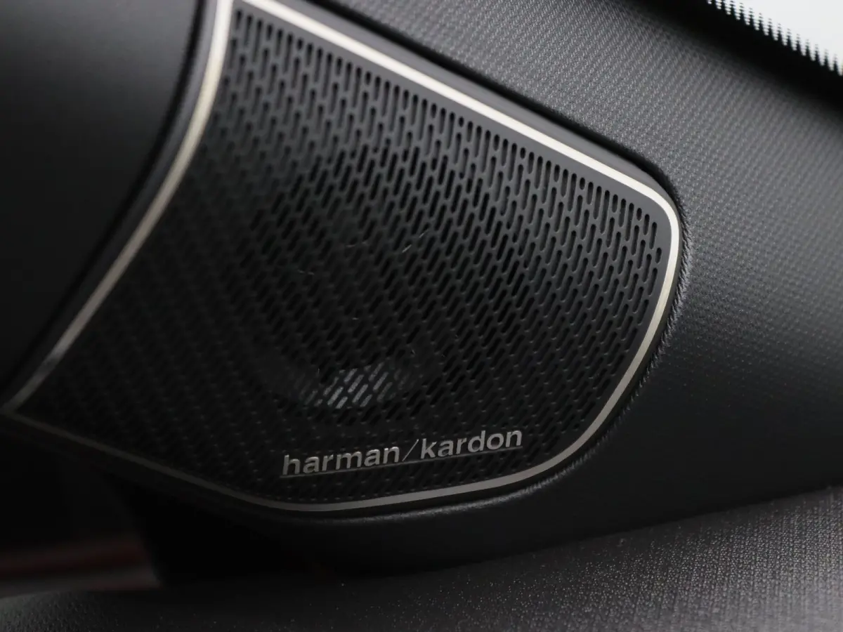 Hybrid esprit Alpine 160pk Harman Kardon | Camera | Adapt. Cruise | Parkeersens. v+a
