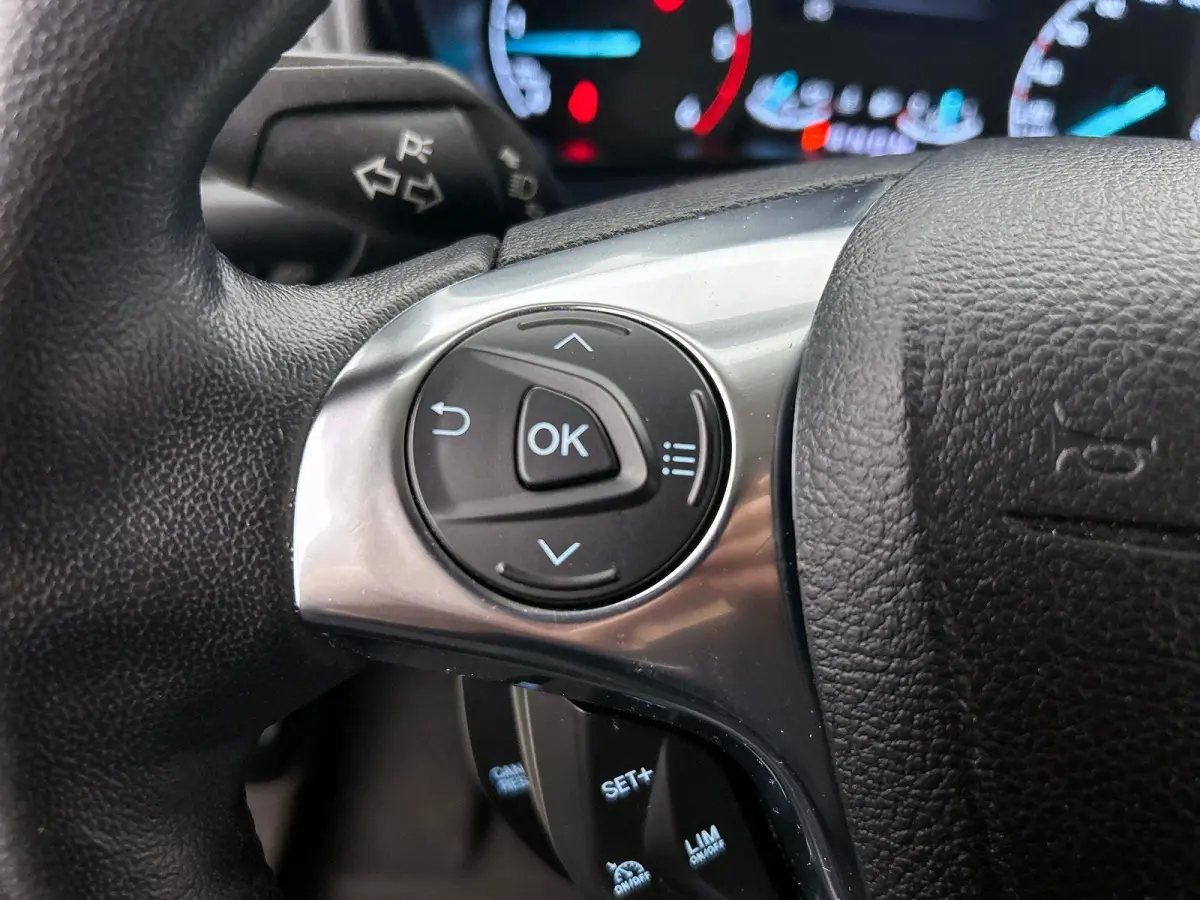1.5 EcoBlue Automaat L2 Trend Navigatie Airco Parkeersensoren Cruise Control Camera DAB+