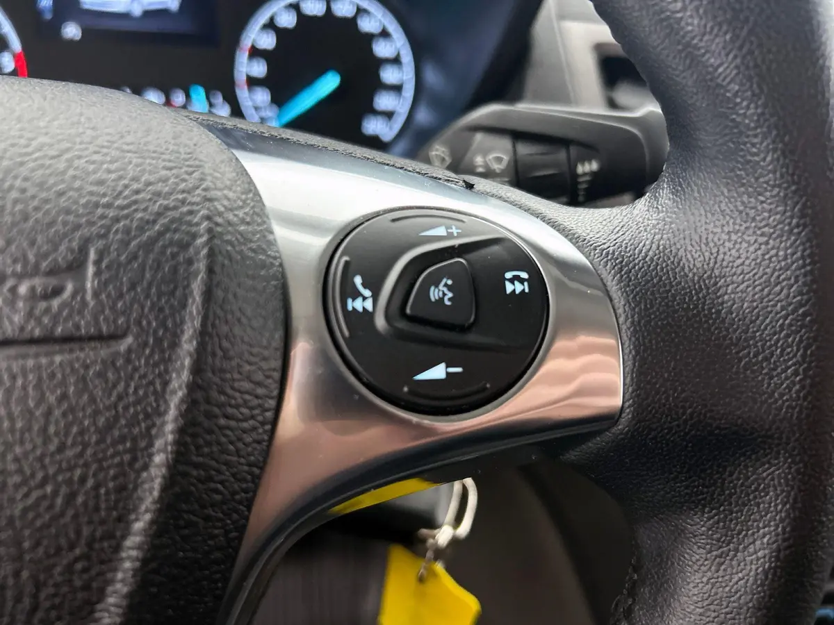 1.5 EcoBlue Automaat L2 Trend Navigatie Airco Parkeersensoren Cruise Control Camera DAB+