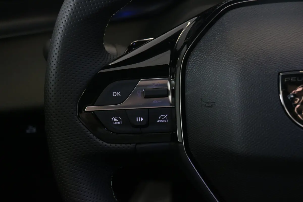 GT Avantage 58 kWh | Navi | Camera | Stoel- en stuur verwarming | Apple Carplay/Android | Ad. Cruise | DAB |