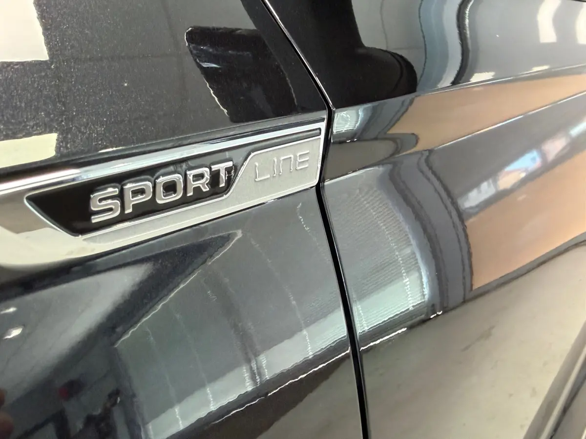 1.5 TSI ACT Sportline Business | PANODAK | LED | 19"LM VELGEN |