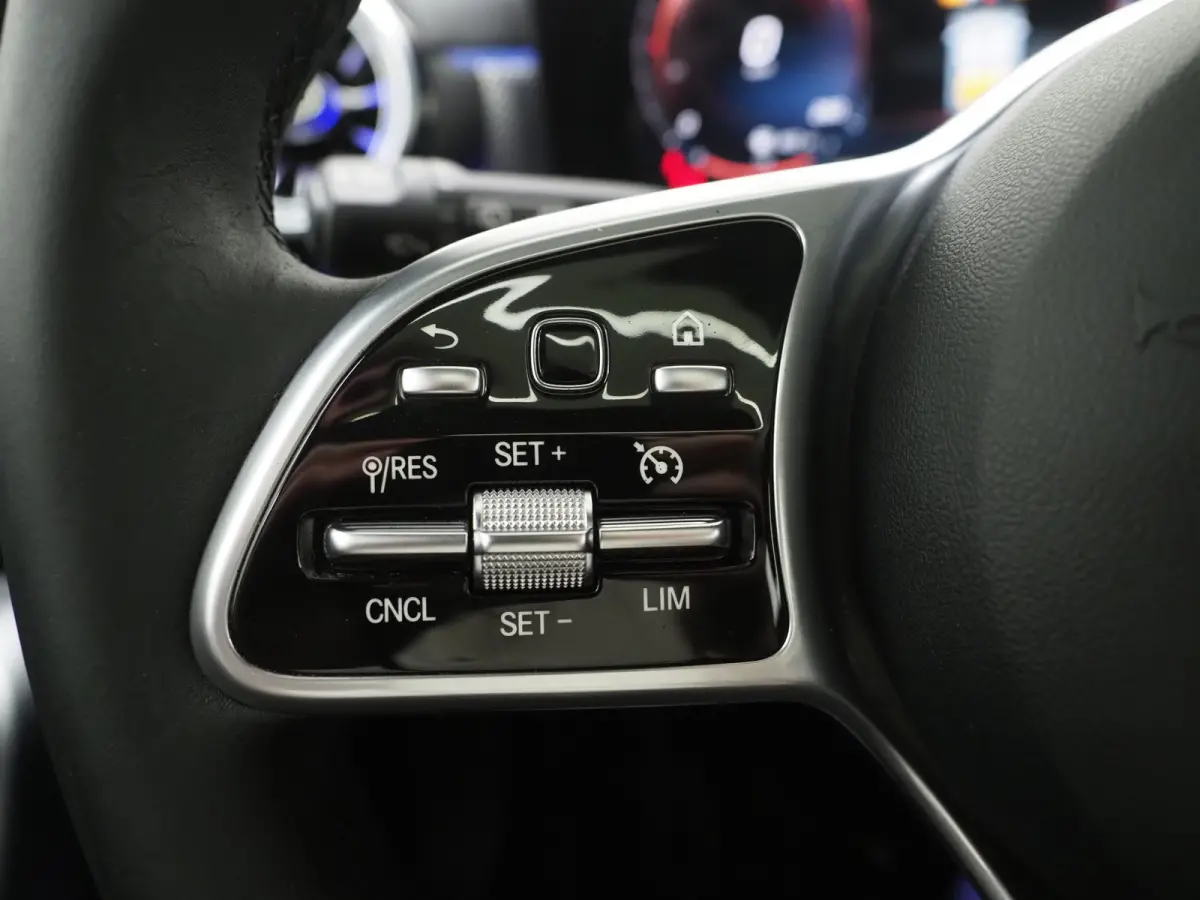 250e Premium | Panoramadak | Leder | Trekhaak | Camera | Sfeerlicht | Carbon | Cruise | LED