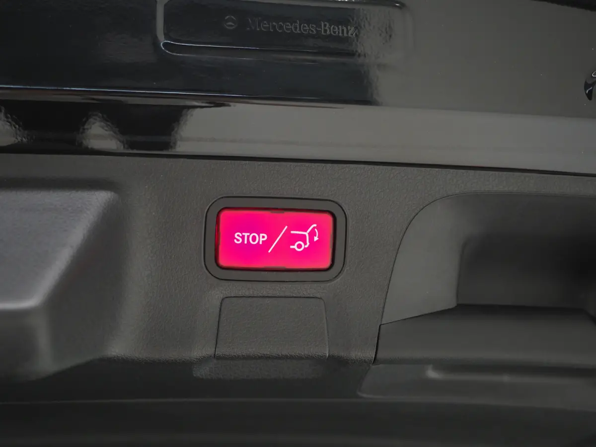 250e Premium | Panoramadak | Leder | Trekhaak | Camera | Sfeerlicht | Carbon | Cruise | LED